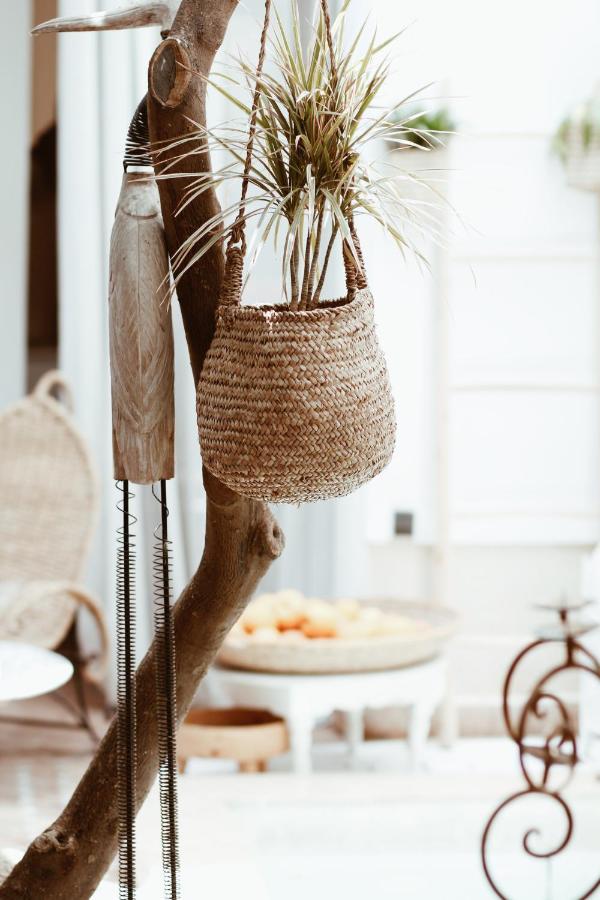 Riad Les Orangers D'Alilia Marrakesh Ngoại thất bức ảnh