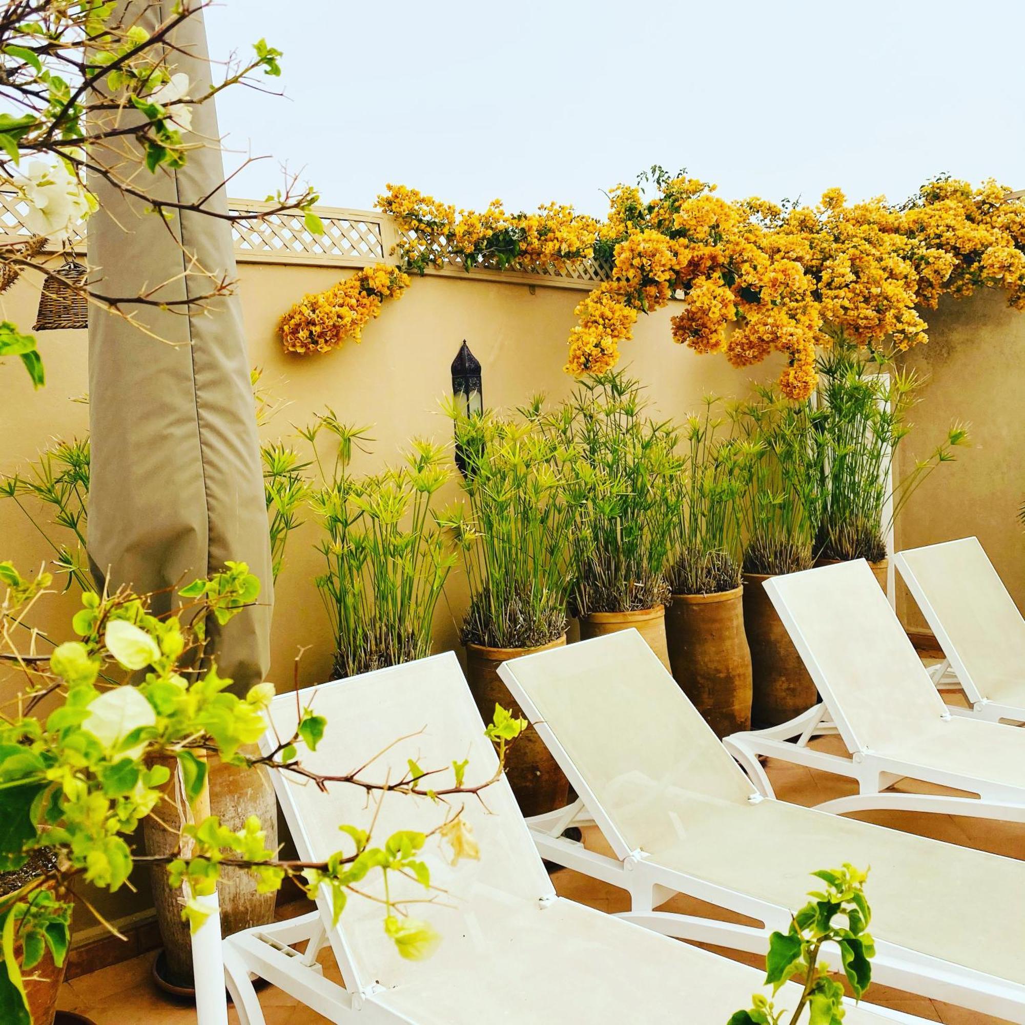 Riad Les Orangers D'Alilia Marrakesh Ngoại thất bức ảnh
