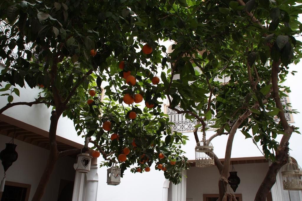 Riad Les Orangers D'Alilia Marrakesh Ngoại thất bức ảnh