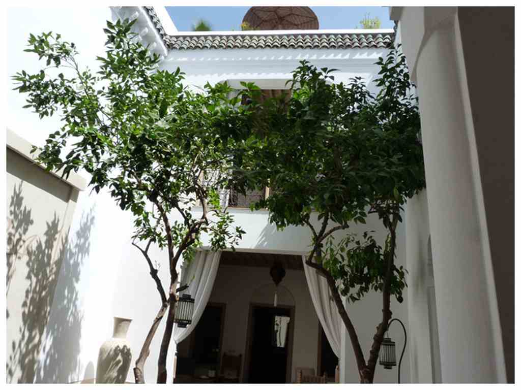 Riad Les Orangers D'Alilia Marrakesh Ngoại thất bức ảnh